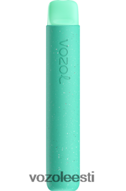 VOZOL E Sigaret - VOZOL STAR 600 troopiline punts TJ282P99