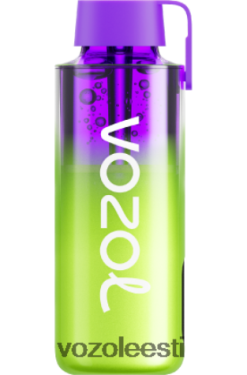VOZOL Eesti - VOZOL NEON 10 000 arbuusi jää TJ282P241