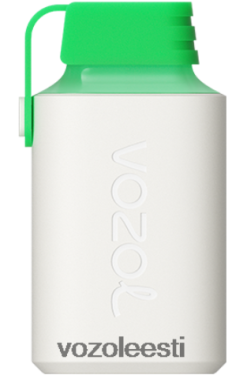 VOZOL Müük - VOZOL GEAR 600 sidruni mojito TJ282P352