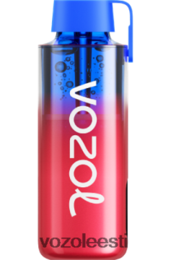 VOZOL Osta - VOZOL NEON 10 000 külmutatud maasika kiivi TJ282P227