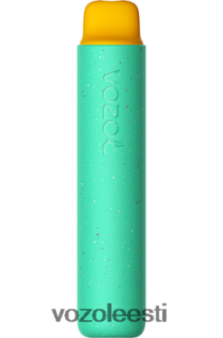 VOZOL Osta - VOZOL STAR 2000 kummikaru TJ282P155