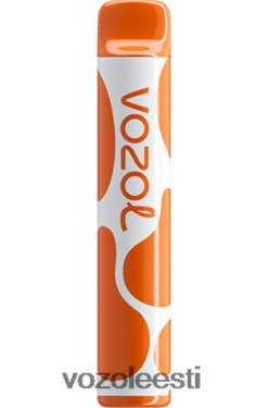 VOZOL Vape Eesti - VOZOL JOYGO 600 mango jää TJ282P386