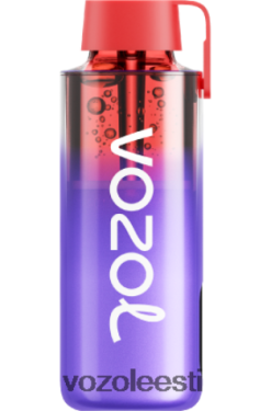VOZOL Vape Eesti - VOZOL NEON 10 000 murakajää TJ282P242