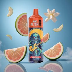 JNR Alien 10000 Puffs 20ml Vedelik Meta kuu Estonia vape wholesale