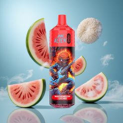 JNR Alien 10000 Puffs 850mAh Akuga Arbuusi-Litsi Estonia vape wholesale