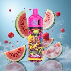 JNR Alien 10000 Puffs 850mAh Patareiga Vaarikas-Arbuus Estonia vape wholesale