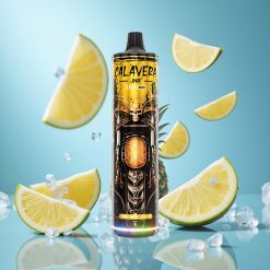 JNR Calavera 11000 Puffs Ananass-Jää Ühekordne Vape 21ml E-mahla maht 850 mAh aku Estonia vape wholesale