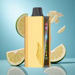 JNR Cruiser 12000 Puffs Jahe-Mündi Kombinatsioon 3500 mAh aku ja 25ml e-vedelik Estonia vape wholesale