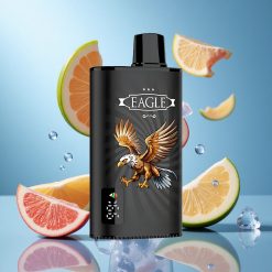 JNR EAGLE Smart 23000 Puffs Must Mango Jää Digitaalne Ekraan & 25ml e-Vedelik Estonia vape wholesale