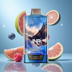 JNR Falcon Pro 28000 Puffs Mustikas Vaarikas Kirsilehe Aromaat 30ml Eelnevalt Täidetud Estonia vape wholesale