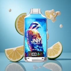 JNR Falcon X 18000 Puffs 750mAh Akumahutavus Sinine Estonia vape wholesale