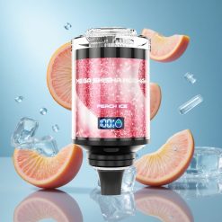 JNR Mega Shisha 100000 Puffs Virsikujää 2200mAh Estonia vape wholesale