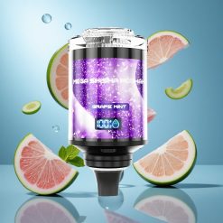 JNR Mega Shisha 100K Puffs Viinamarja-Mündi Kombinatsioon 60ml Eesti vape wholesale