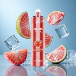 JNR Shisha Hookah 12000 Puffs Maasikajää Kombinatsioon 750mAh 24ml Estonia vape wholesale